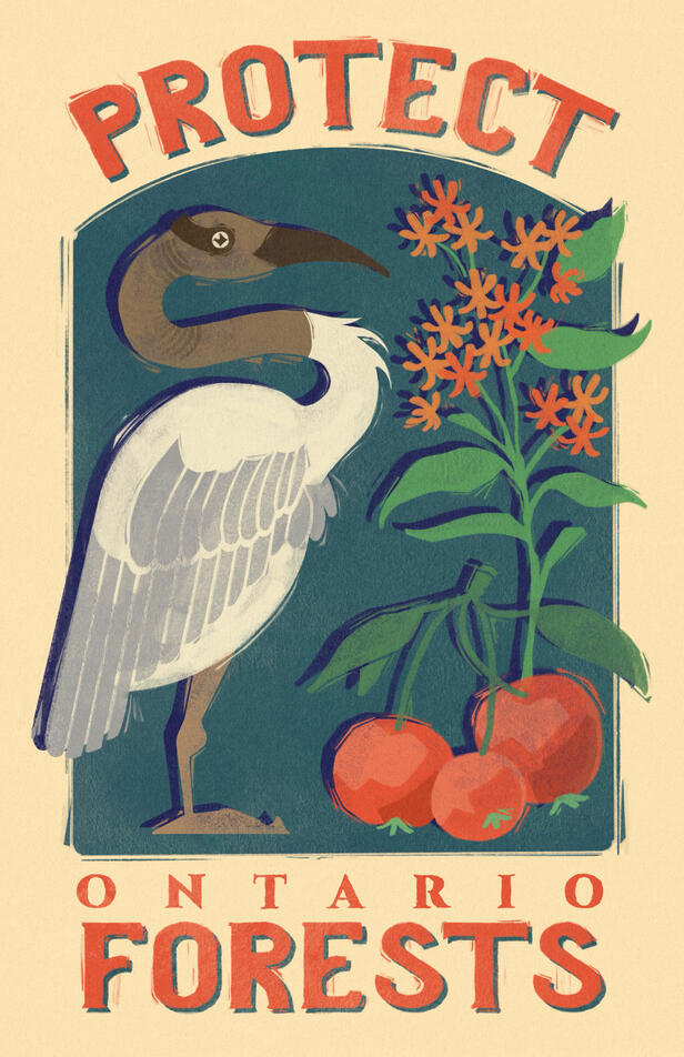 Protect Ontario Forests